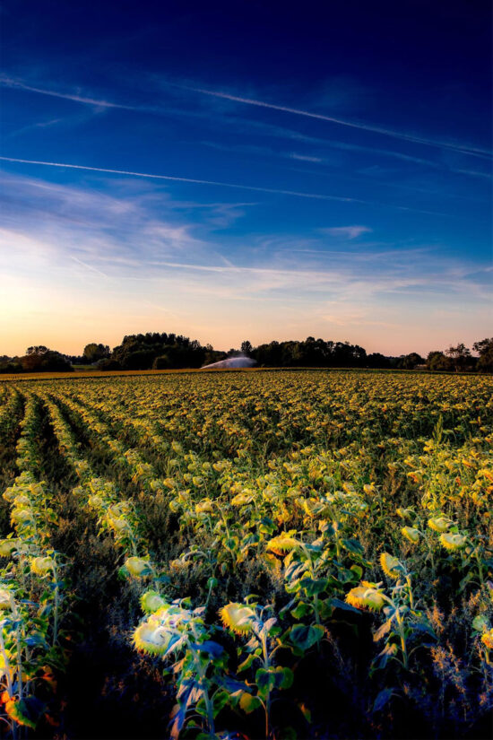 les-gites-du-logis-saint-romain-de-benet-saintes-royan-saujon-cure-thermale-vacances