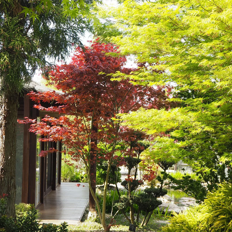 les-jardin-privé-d'olosa-le-jardin-ou-l'on-s'attarde-les-gites-du-logis-saintes-saint-romain-de-benet-royan-vacances-cure-thermale-gites-logis-charente-maritime