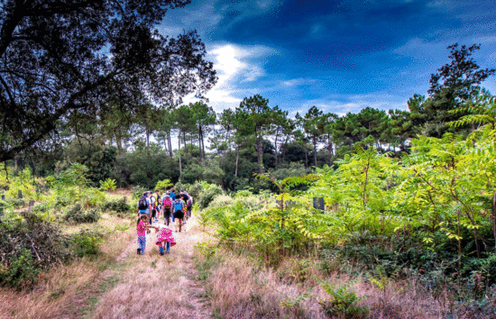 rando-vélo-balade-cheval-royan-gites-logis-charente-maritime-saint-romain-de-benet