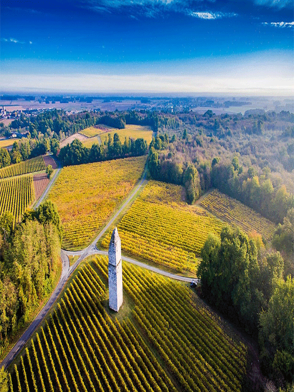 tour-de-pirelonge-saint-romain-de-benet-les-gites-du-logis-saintes-royan-cure-thermale